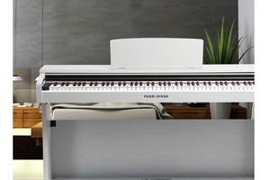 Pearl River V03 – обираємо перше цифрове фортепіано для навчання